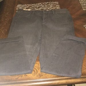 The Loft Skinny Jeans